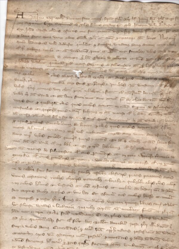 Vente d'une partie du village de Salvinsac, en Lozère, au XIIIe siècle.